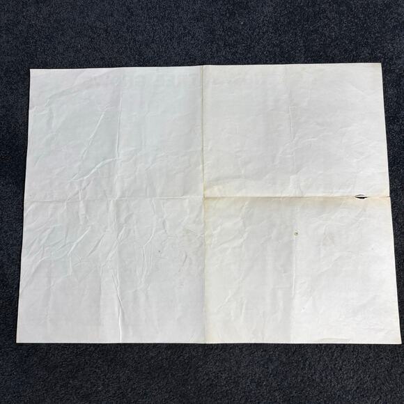 How A Tree Grows Poster Vintage 1955 US Forest Service - Mid Century Ephemera - Picture 7 of 8